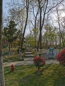 公园小路