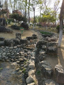 公园风景