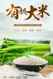 大米海报