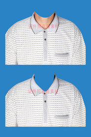 男士证件照T恤衬衫polo