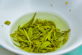 绿茶