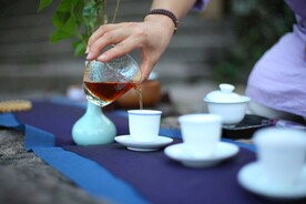 茶文化素材
