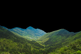山