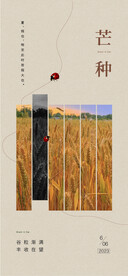 芒种海报设计