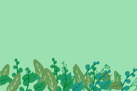  绿叶植物背景