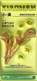 膨胀风节气海报