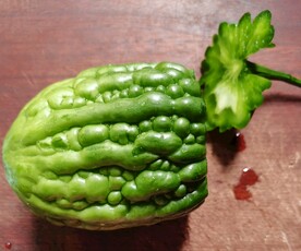 苦瓜