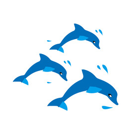 海豚