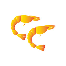虾