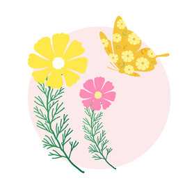碟恋花