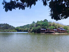 小岛美景