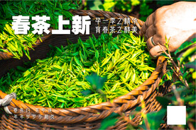 茶叶