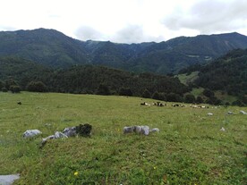 夏天的山