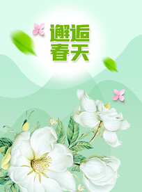 植物背景 叶子背景 谷雨背景 