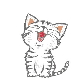可爱猫咪