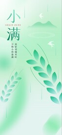 小满