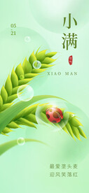 小满