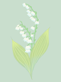 铃兰花