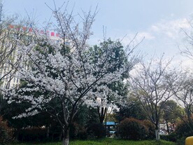 太子湾公园 