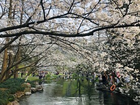 太子湾公园 