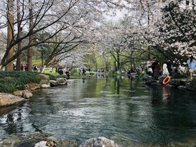 太子湾公园