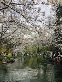 太子湾公园