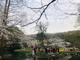 太子湾公园 