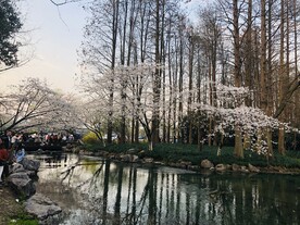 太子湾公园
