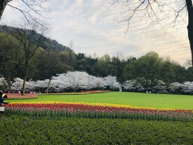 太子湾公园