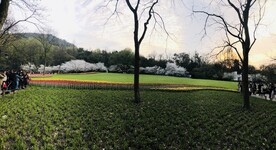 太子湾公园