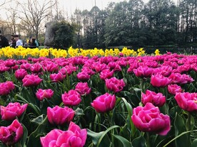 太子湾公园