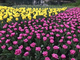 太子湾公园