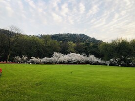 太子湾公园 