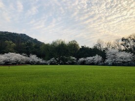 太子湾公园