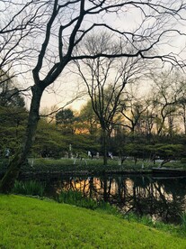太子湾公园