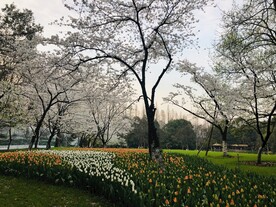 太子湾公园