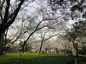 太子湾公园