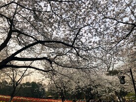太子湾公园