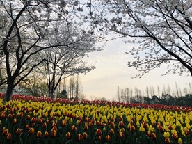 太子湾公园