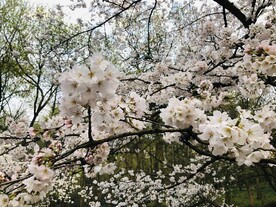 太子湾公园