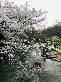 太子湾公园 