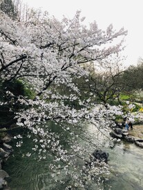 太子湾公园