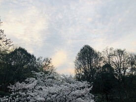 太子湾公园
