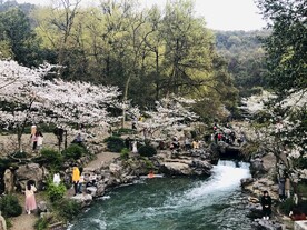 太子湾公园