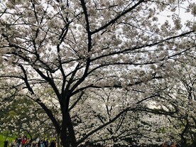 太子湾公园