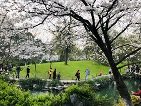 太子湾公园