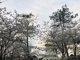 太子湾公园