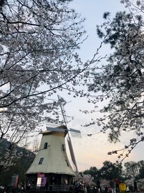 太子湾