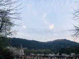 太子湾公园