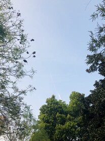 天空